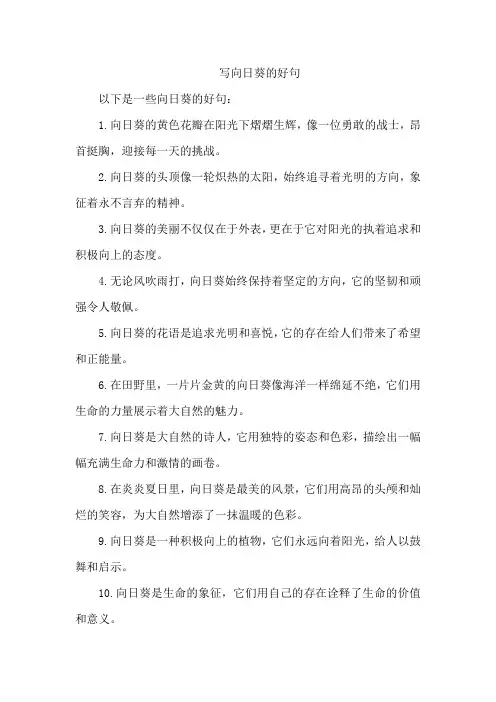 写向日葵的好句