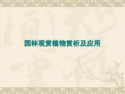 园林观赏植物赏析及应用