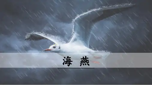 人教版八年级下册语文课件 海燕(56片PPT)