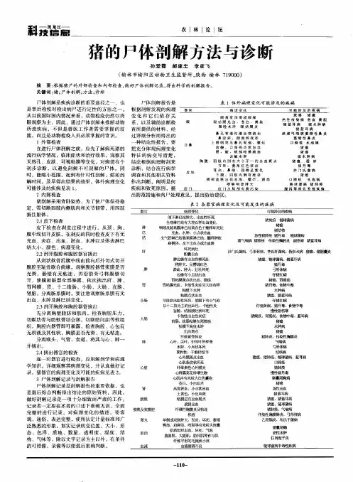 猪的尸体剖解方法与诊断