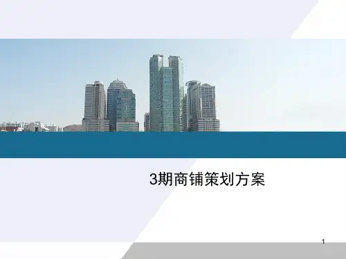 乐丰公寓楼产商铺策划方案PPT课件
