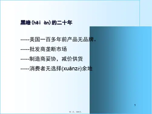 品牌塑造与营销策略教学文稿