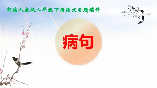 部编人教版八年级下册语文《病句》专题训练课件