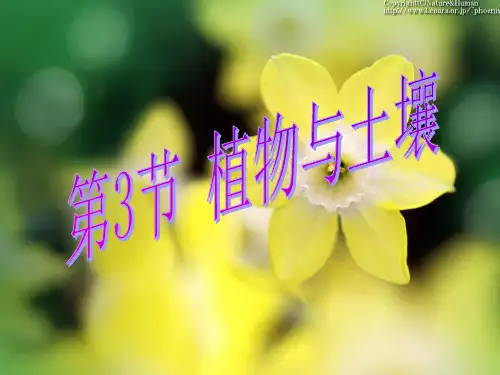 植物与土壤第3课时