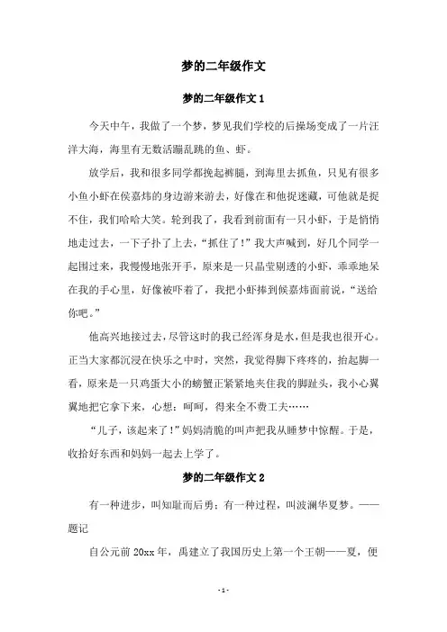 梦的二年级作文