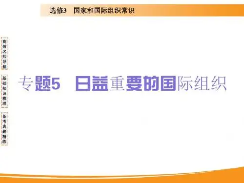 2020届高考政治一轮复习精品课件：专题五 日益重要的国际组织