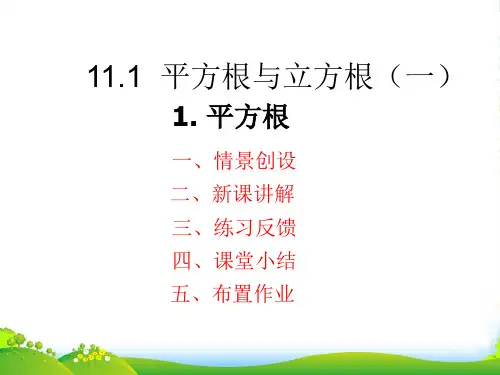 华师大版八年级数学上学期《平方根》优课件