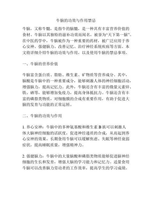 牛脑的功效与作用禁忌