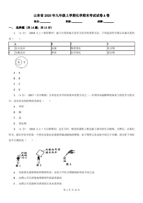 山东省2020年九年级上学期化学期末考试试卷A卷(模拟)