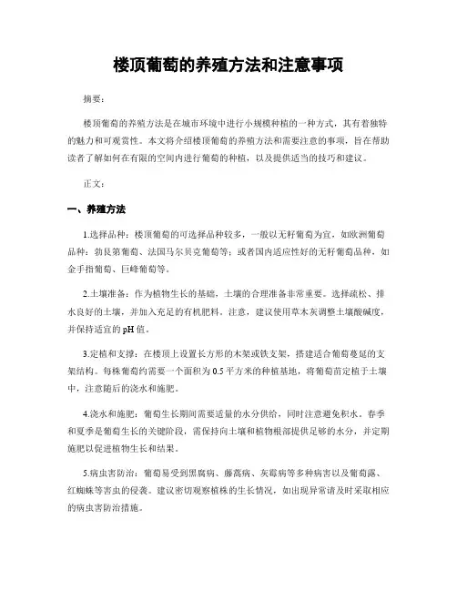 楼顶葡萄的养殖方法和注意事项