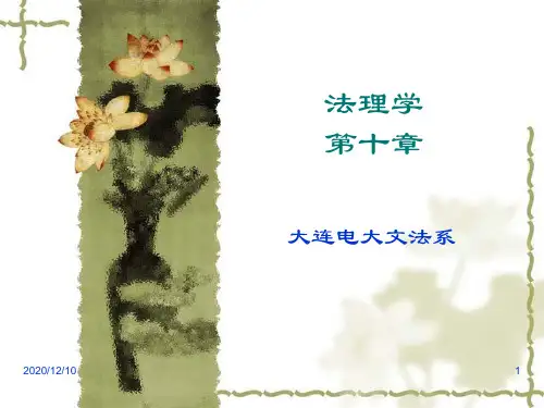 法理教案第10章PPT教学课件
