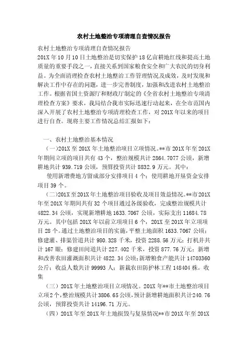 农村土地整治专项清理自查情况报告（完整版）