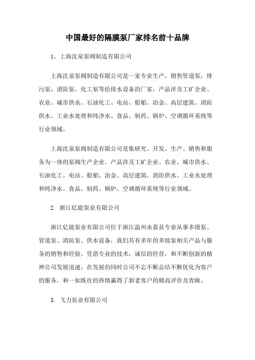 中国最好的隔膜泵厂家排名前十品牌