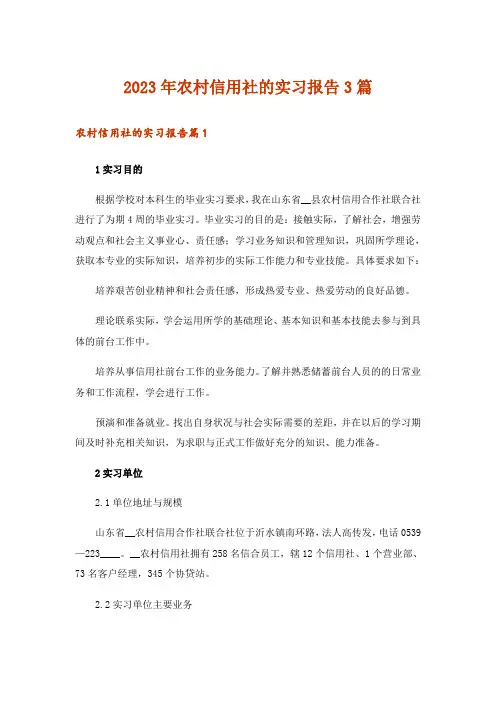 2023年农村信用社的实习报告3篇