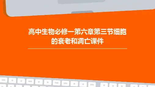 高中生物必修一第六章第三节细胞的衰老和凋亡课件