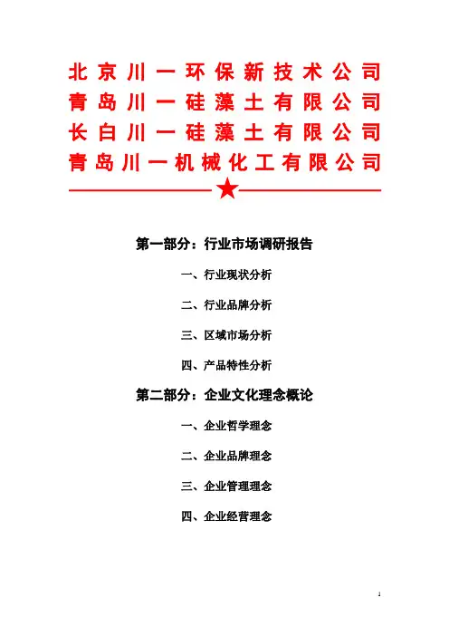 装修材料(硅藻泥)品牌战略规划
