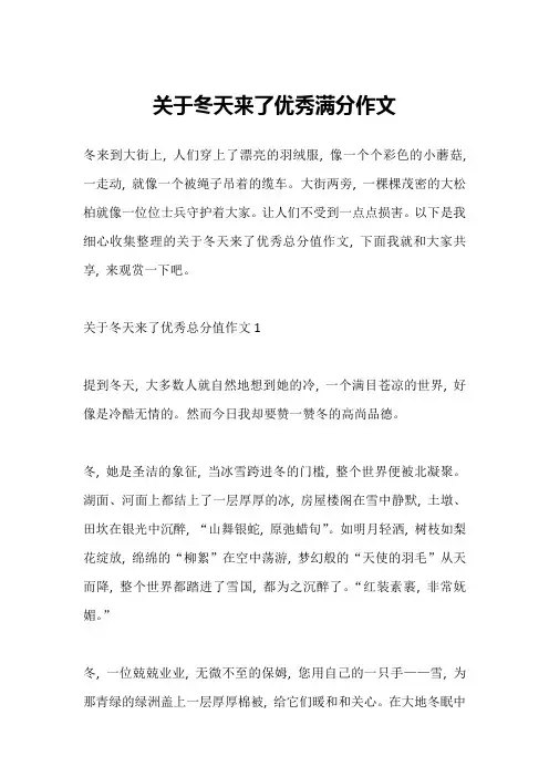关于冬天来了优秀满分作文
