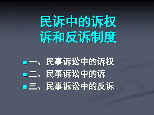 诉权制度