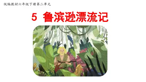 统编人教版六年级语文下册《鲁滨逊漂流记》优质PPT课件