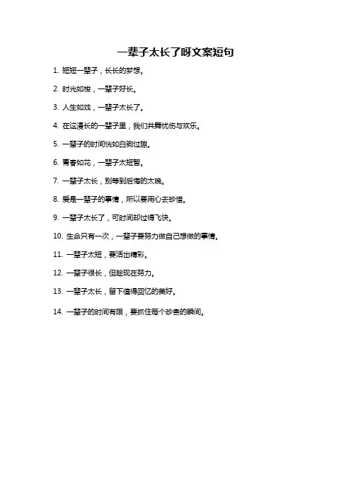 一辈子太长了呀文案短句