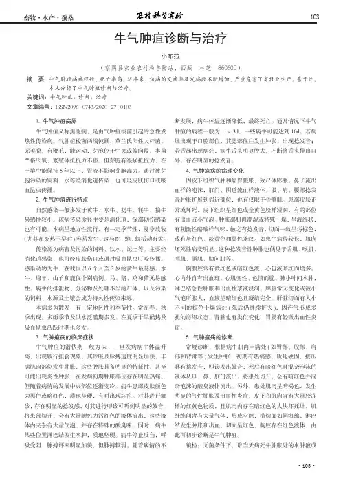 牛气肿疽诊断与治疗