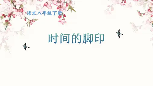 《时间的脚印》ppt课件