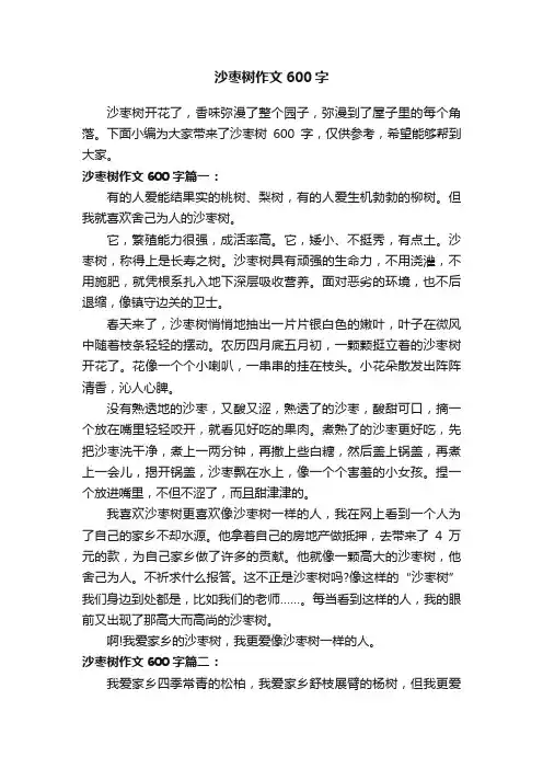 沙枣树作文600字