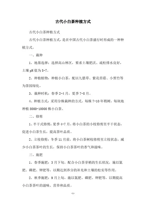 古代小白茶种植方式