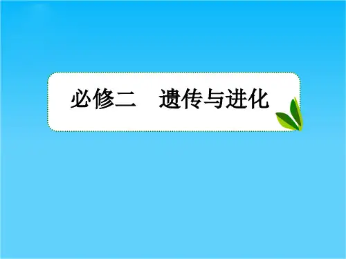 高考生物一轮复习 第2讲 基因在染色体上与伴性遗传课件 新人教版必修2