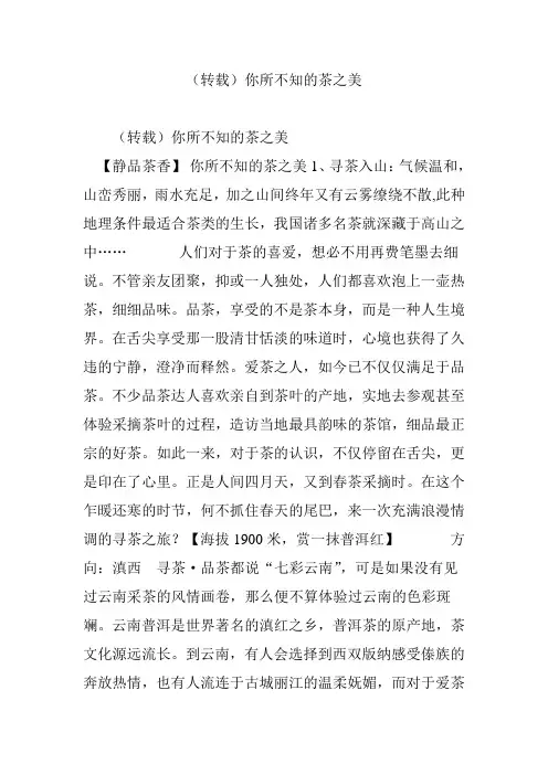 你所不知的茶之美