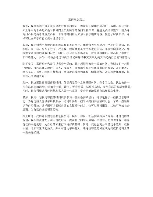 寒假规划高二