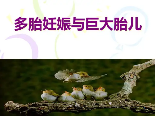 多胎妊娠与巨大儿PPT课件