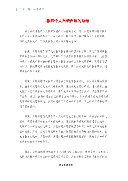教师个人自培自练的总结
