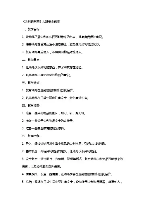 《尖利的东西》大班安全教案
