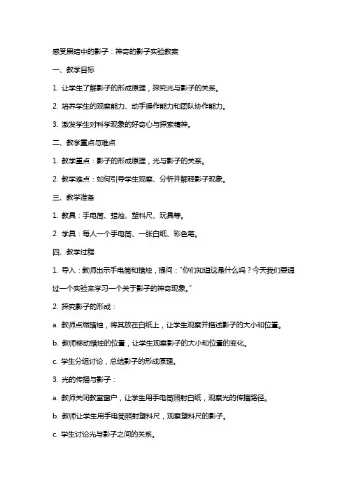 感受黑暗中的影子：神奇的影子实验教案