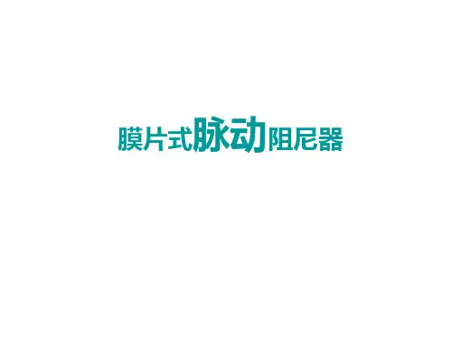 膜片式脉冲阻尼器解析