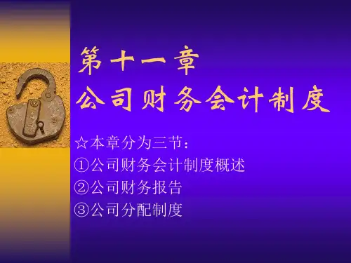 公司财务会计制度(ppt30)