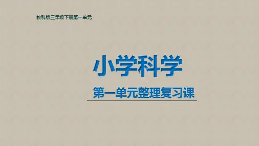 科教版三年级下册第一单元整理复习课PPT课件