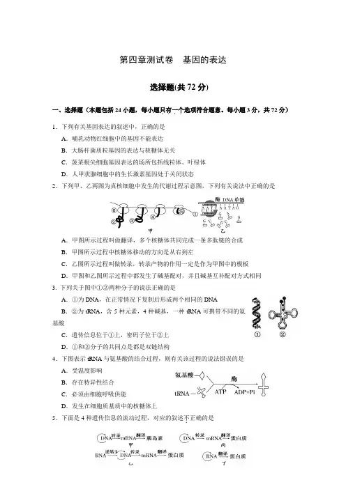 高中生物必修一-第四章测试卷  基因的表达