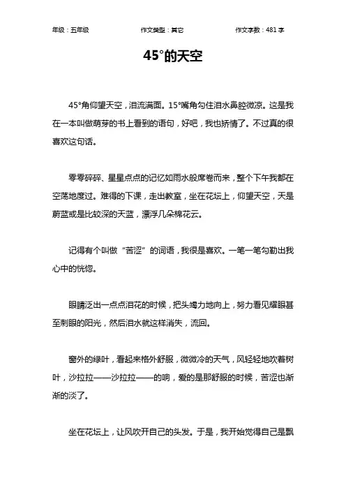 45°的天空作文【小学五年级500字】