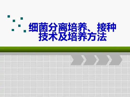 细菌分离培养、接种技术及培养方法-精品医学课件