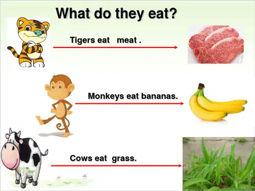 三年级下册英语-U3Lesson 13 I'm Hungry 冀教版PPT精美版