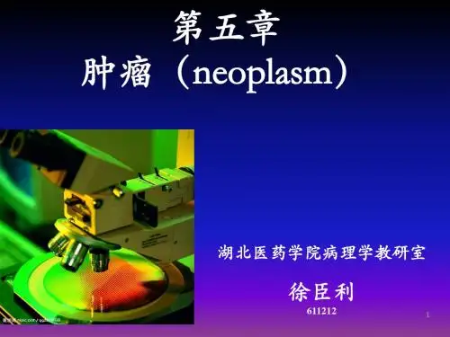 病理学(第八版)最新课件肿瘤ppt课件