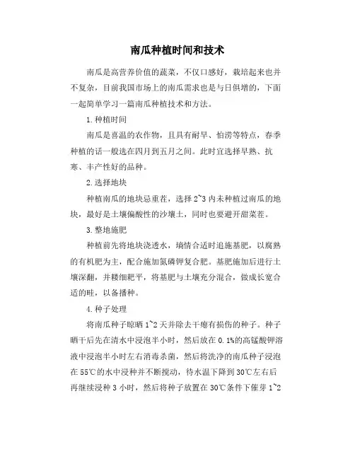 南瓜种植时间和技术