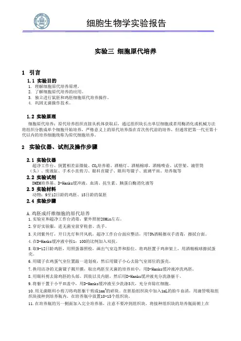 实验报告-细胞原代培养实验