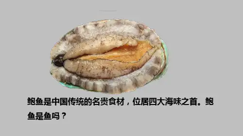 八年级生物上册5.《软体动物》课件