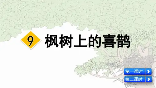 部编版二年级语文下册第9课《枫树上的喜鹊》精美课件