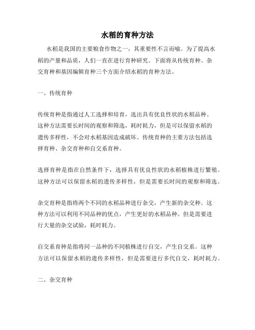 水稻的育种方法