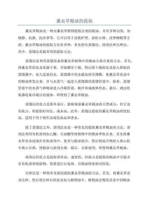 薰衣草精油的提取