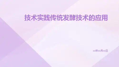 技术实践传统发酵技术的应用ppt